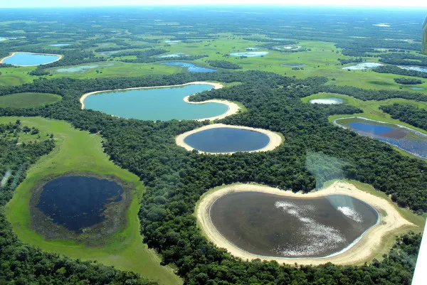 Pantanal